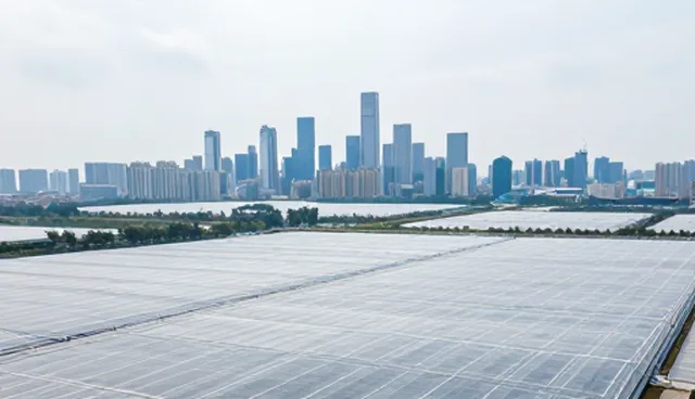 企业官网建设中维护问题的适用情况与处理建议